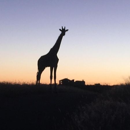 Windhoek Rural Self Catering Voigtland Экстерьер фото